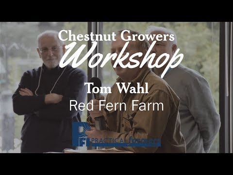 Chestnut Establishment & Maintenance - Tom Wahl