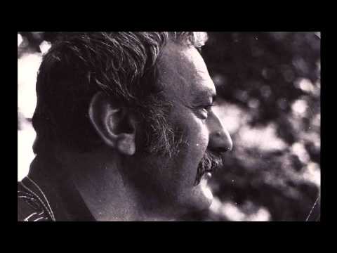 Amza Pellea-Automobilist si pieton