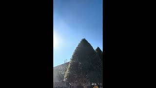 Video 6- Khi dừng bám chấp và đổ thừa 🙏🪷🙏