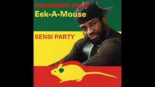 commodore boy and eek a mouse-sensi party.wmv