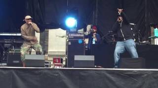 The Jungle Brothers Perform &quot;Because I Got It Like That&quot; At The Roots Picnic