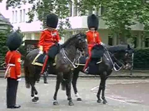 The Colonel's Review of Trooping the Colour 2009