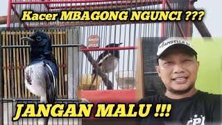 Download lagu JANGAN MALU !!! KACER MBAGONG NGUNCI ADA SOLUSINYA mp3 Download lagu JANGAN MALU !!! KACER MBAGONG NGUNCI ADA SOLUSINYA mp3