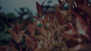 Letto - lubang di dalam hati.(lirik).