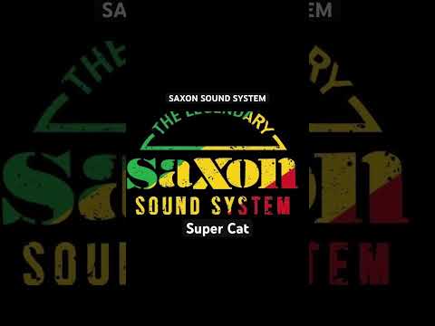 Saxon Sound System 1986