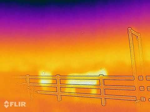 CAT S61 Smartphone FLIR camera