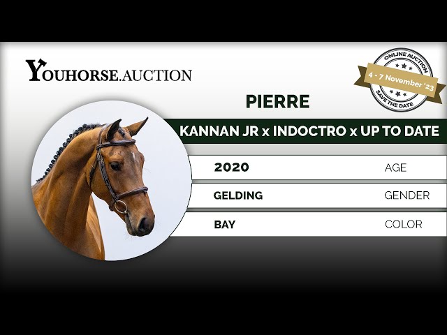 Pierre