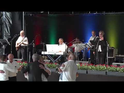 Festival på Feddet 2017 i Kerteminde med: Blue Swingers.