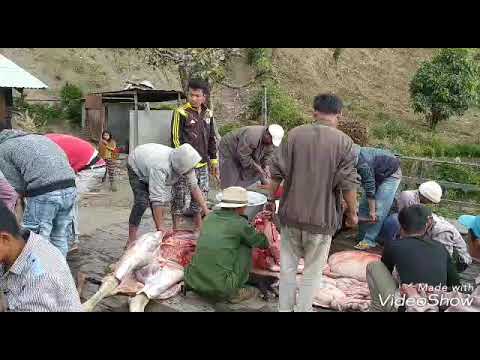 Laaitui Khua aa NauLak Beh 2020Kum Thak An Nek Khop Na Pawi