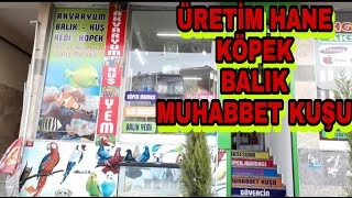 PETSHOP TURU =ÜRETİM HANE =KÖPEK= BALIK