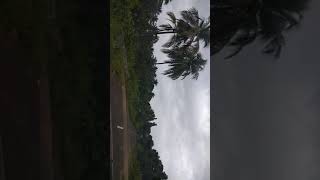 preview picture of video 'Ayyanar falls ride on a gloomy day | Rajapalayam | Western Ghats'