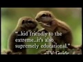 Really Wild Animals Preview 1994 A