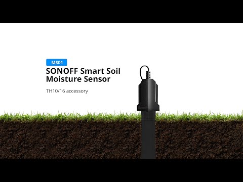 SONOFF New Product Release - MS01 Smart Soil Moisture Sensor works with TH10/16 Smart Switch