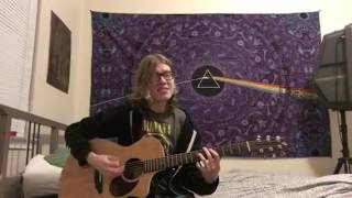 Wavves - Afraid of Heights (Acoustic Cover)