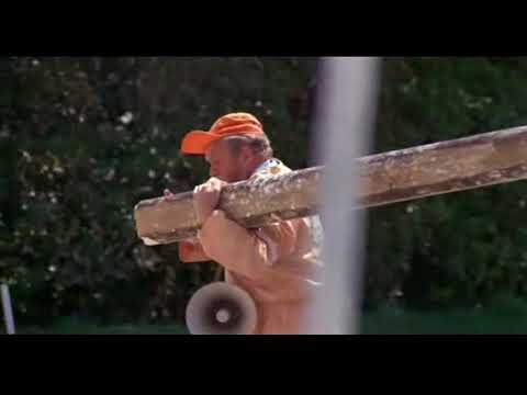 Moji přátelé II   Šikmá věž v Pise