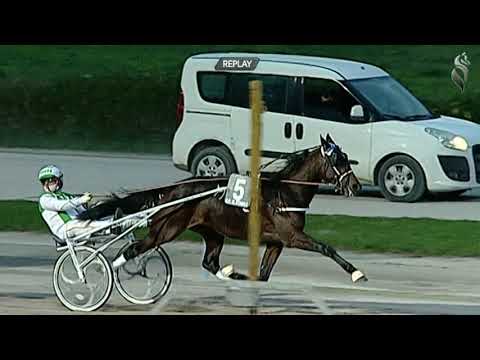 Aversa trotto 21 Novembre 2020 - 7° Corsa GP Stabile Maschi