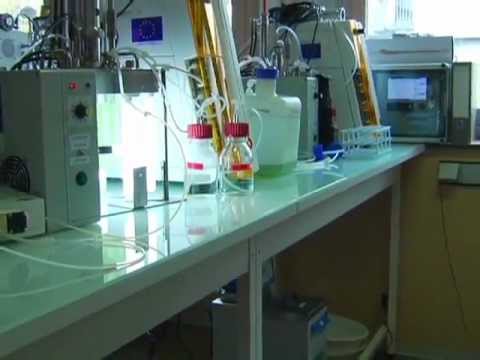 Image de prévisualisation YouTube