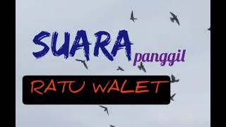 Download lagu Suara panggil walet | Sp ratu walet mp3
