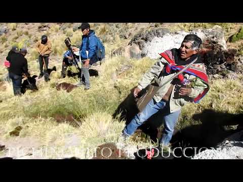 Escarbo de acequia Sector Concha Charcana La Unión Arequipa 2026