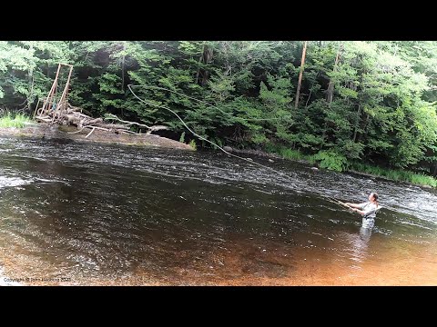 Fly fishing moments from the Mörrum river 2022