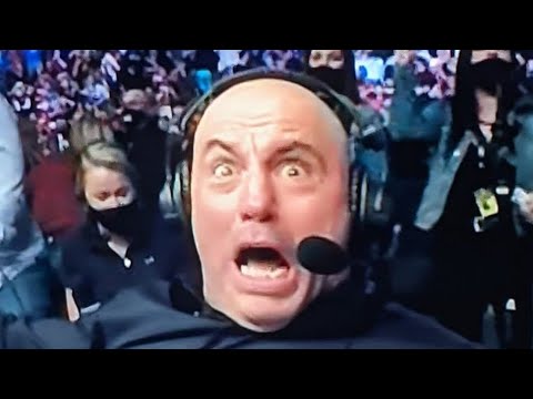 Happy Birthday Davy!