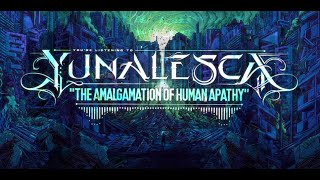 The Amalgamation of Human Apathy Music Video