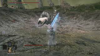 【降る星の獣】おぎちょんの「ELDEN RING SHADOW OF THE ERDTREE」 #13