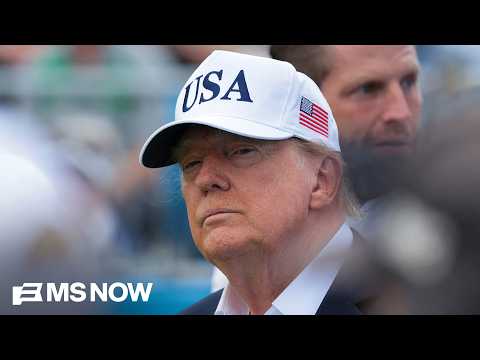 ‘Transactional’ offer of Trump’s $5,000 promise reveals his TRUE desires: Ayman