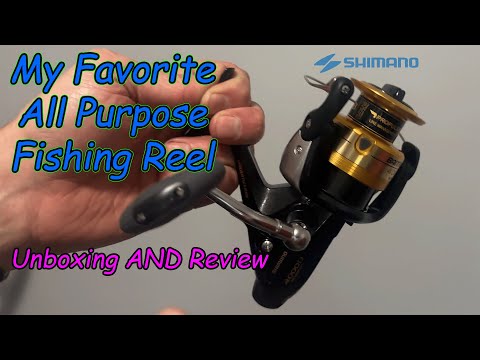 SHIMANO Baitrunner D