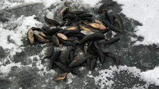 Озеро боевское свердловская область рыбалка