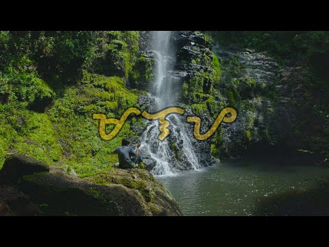 ZOOKED - MALAYA Feat. ULAP