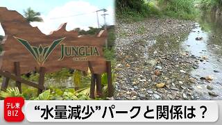 “ジャングリア沖縄”に隣接する地域の「水量減少問題」 開業前から懸念されてきた河川の水量 今は・・・事態の進展を追う【ガイア もう一つのエピソード】