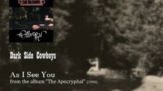 Dark Side Cowboys - As I See You