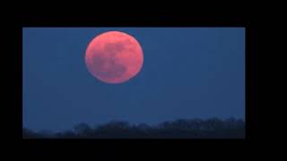 Shoot The Moon  Norah Jones