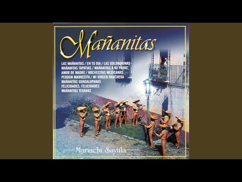 Nochesitas Mexicanas video