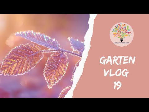 Winter-Check im Naturgarten: Saatgut, Frost-Pflege & Teichbau-Start