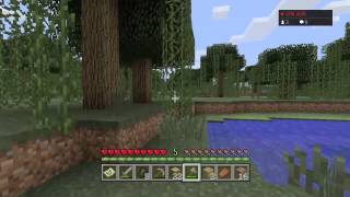 王様とサエルのマインクラフト！ #1