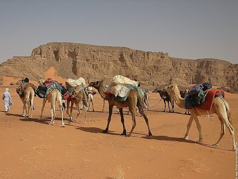 Voyage en Algérie en 1979