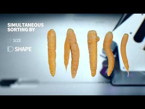 Newtec Optical Grading of Carrots by Quality, Size and Shape, SHORT VERSION