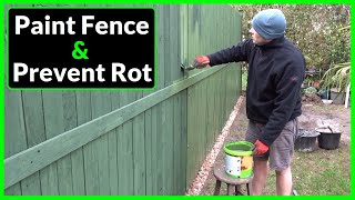 How to Paint a Garden Fence & Prevent it from Rotting (Hints & Tips)