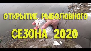 Рыбалка фион 74 отчеты земляков 2020