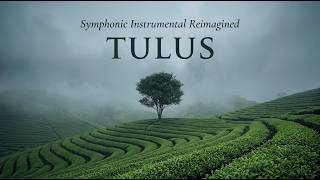 Download lagu TULUS Orchestra Full Album | Greatest Hits Instrumental Playlist (Relaxing Symphonic Music Cover) mp3