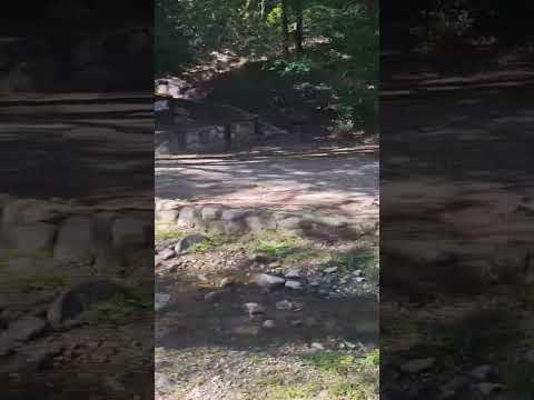 cordoba, al natural #cordoba  #natural #paseo