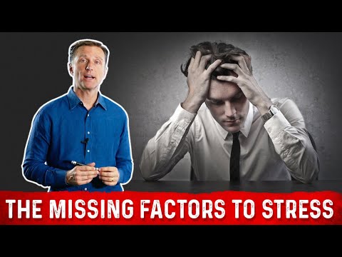 An APPLE a Day Will NOT Let Your Weight Go Away – Dr Berg