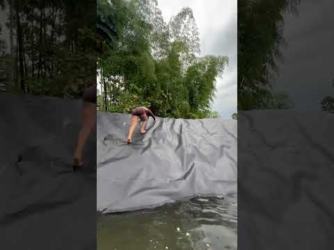 Part 2 de la Albarrada 🌿 | Naturaleza y Campo en Chone 💚 #VivaManabí