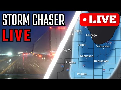 🔴 INTENSE Chicago Lake Effect Snow - Live Stream Archive