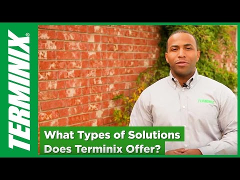 Protect Home From Termites - Terminix Services