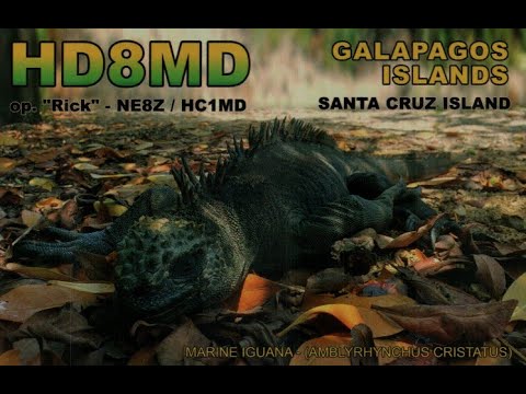 Episode 43 - NE8Z - Rick