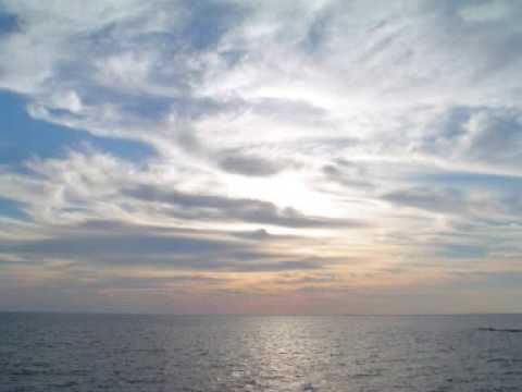 flucs miss Mira  1999