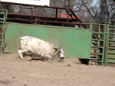 JW Hart's Leaving the Scene